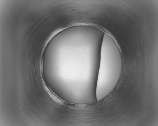 X0000081560811200701150958