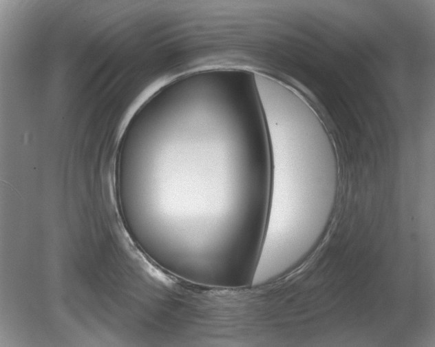 X0000081560812200701150958