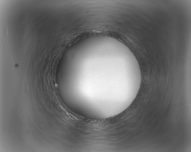 X0000081560817200701150957