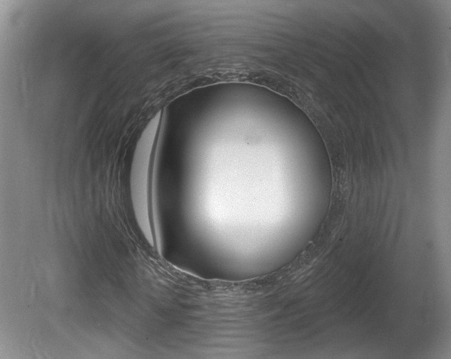 X0000081560818200701150957