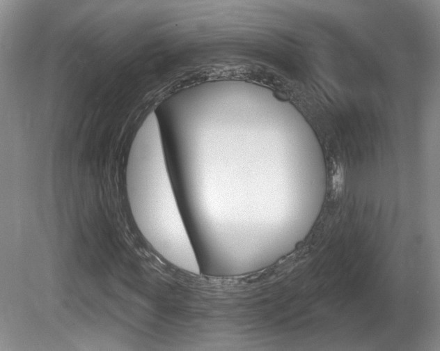 X0000081560819200701150957