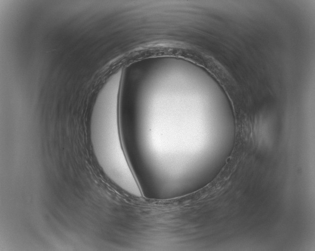 X0000081560821200701150957