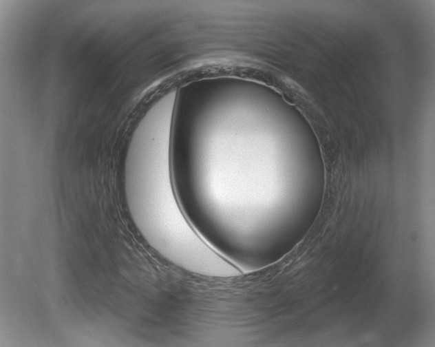 X0000081560822200701150957