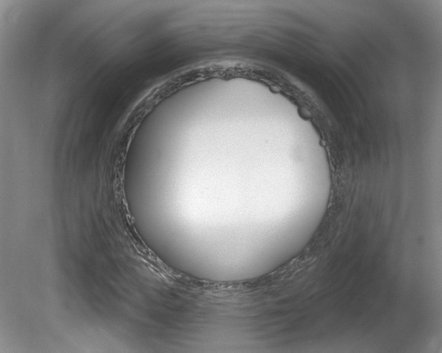 X0000081560823200701150957