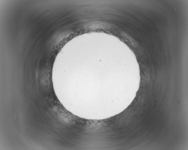 X0000081560824200701150957
