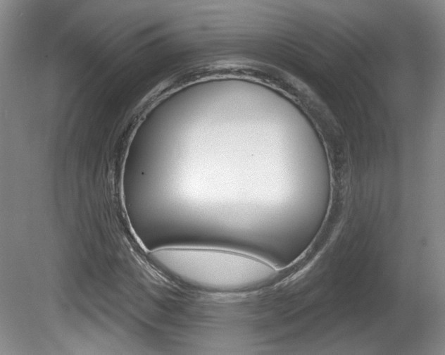 X0000081560825200701150957