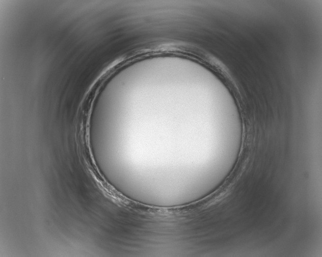 X0000081560827200701150957