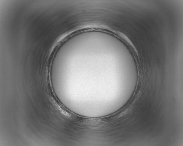 X0000081560831200701150957