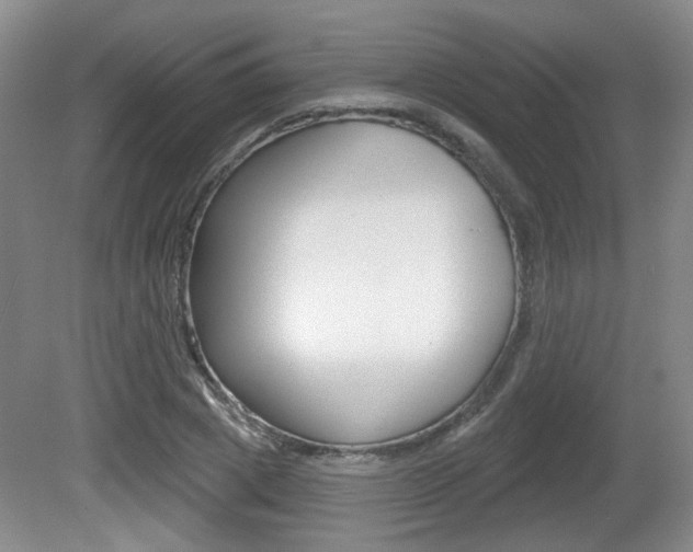 X0000081560833200701150957