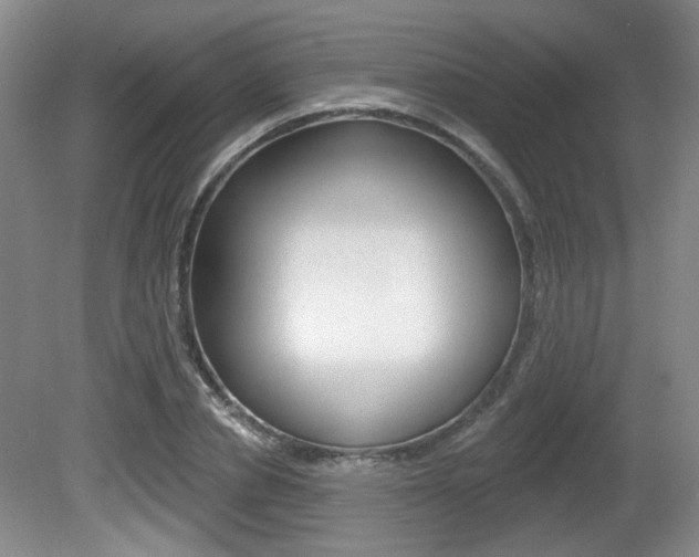 X0000081560834200701150957