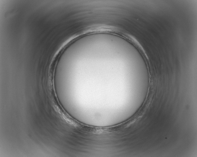 X0000081560835200701150957