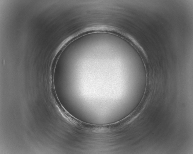 X0000081560837200701150957