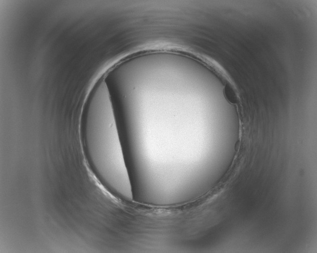 X0000081560839200701150957