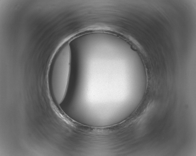 X0000081560840200701150957