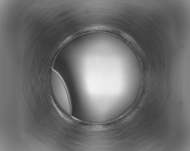 X0000081560841200701150957
