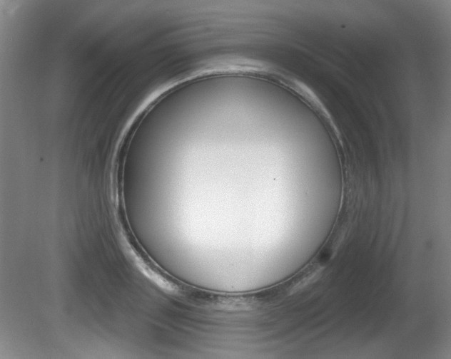 X0000081560843200701150957