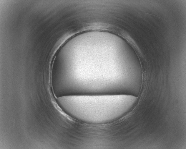 X0000081560844200701150957