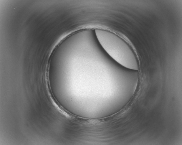 X0000081560847200701150958
