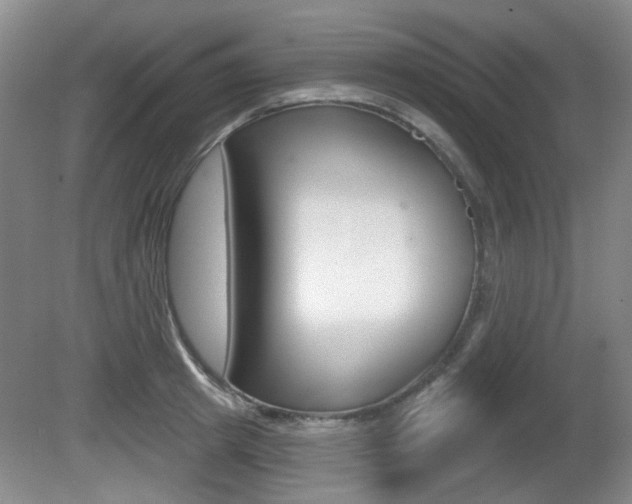 X0000081560849200701150958