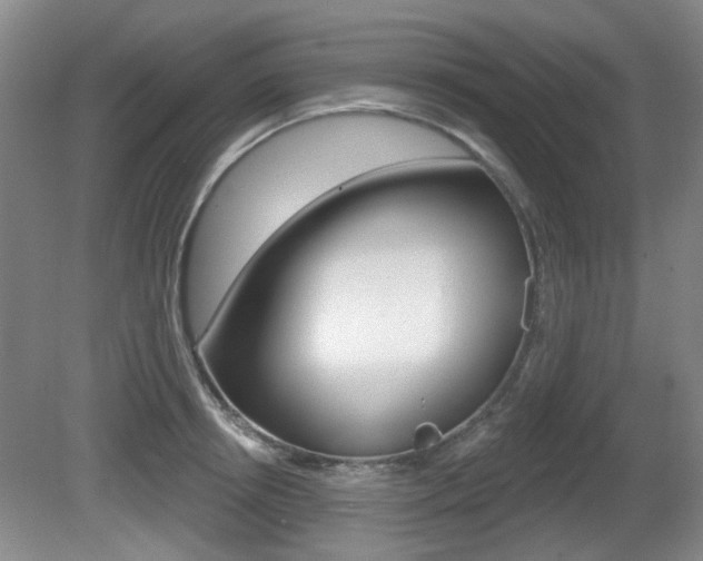 X0000081560850200701150958