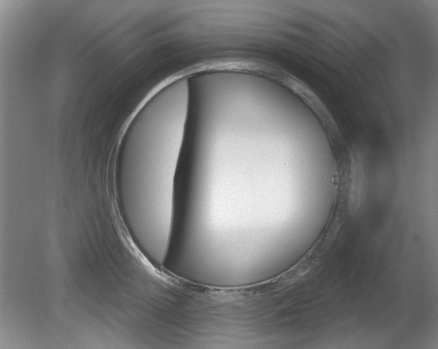 X0000081560852200701150958