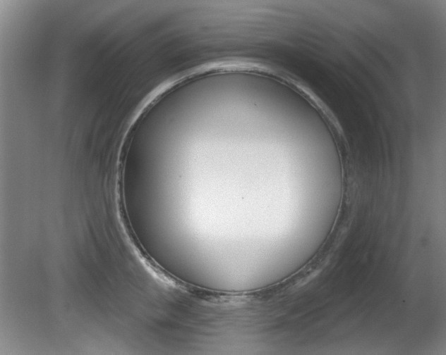 X0000081560853200701150958