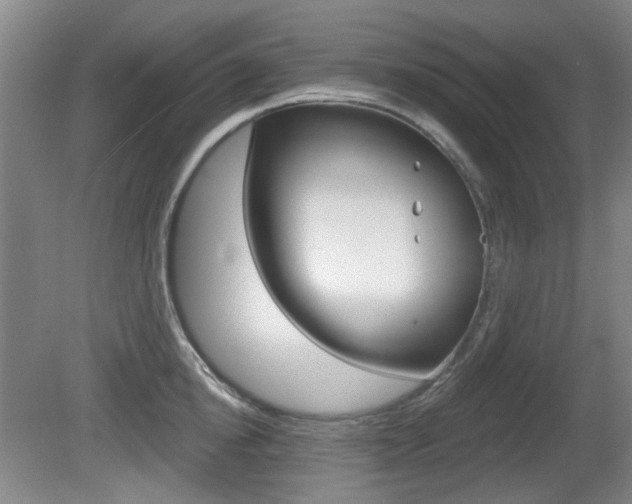X0000081560854200701150958