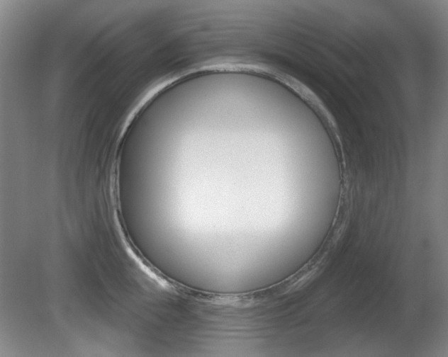 X0000081560855200701150958
