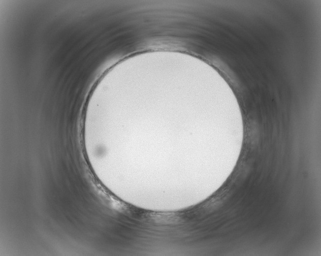 X0000081560856200701150958