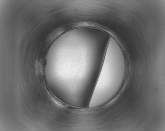 X0000081560857200701150958