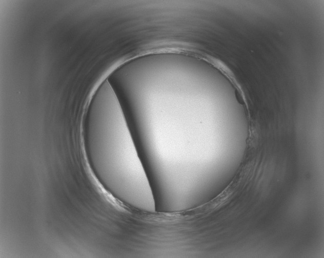 X0000081560859200701150958