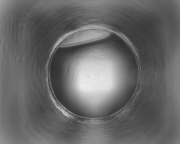 X0000081560862200701150958