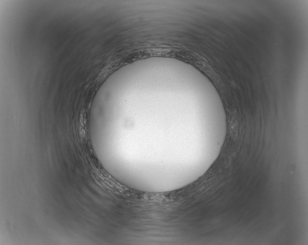 X0000081560866200701150957