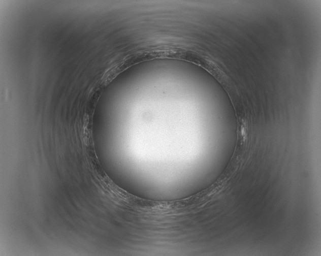 X0000081560867200701150957
