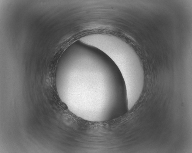 X0000081560869200701150957