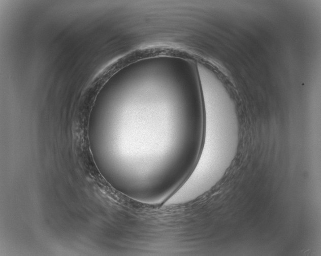 X0000081560872200701150957