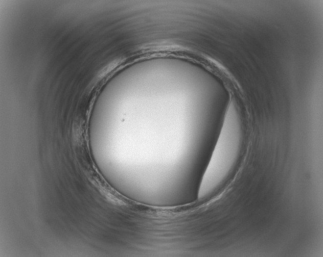 X0000081560873200701150957