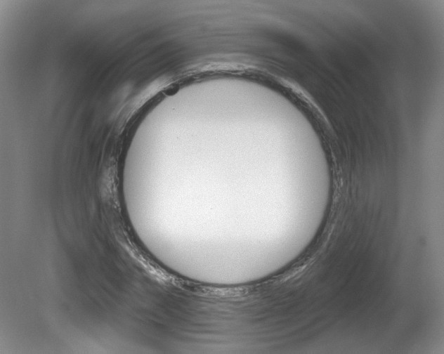 X0000081560874200701150957