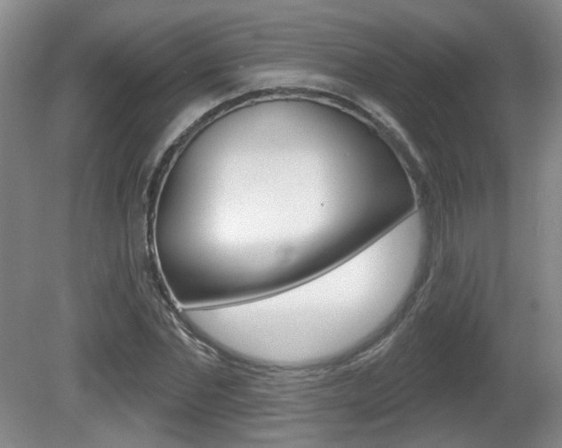 X0000081560877200701150957