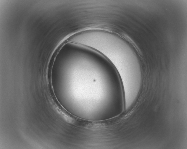 X0000081560884200701150957