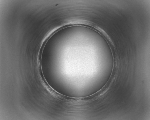 X0000081560885200701150957