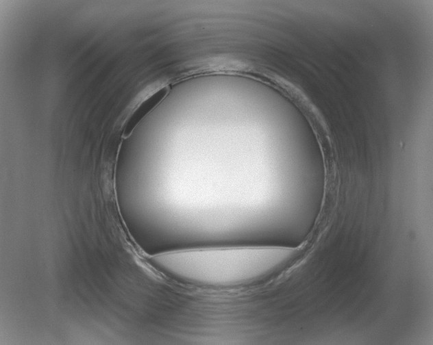 X0000081560889200701150957