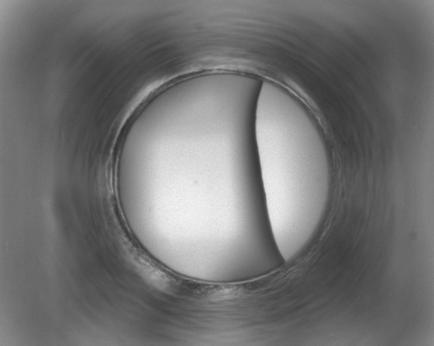 X0000081560891200701150957
