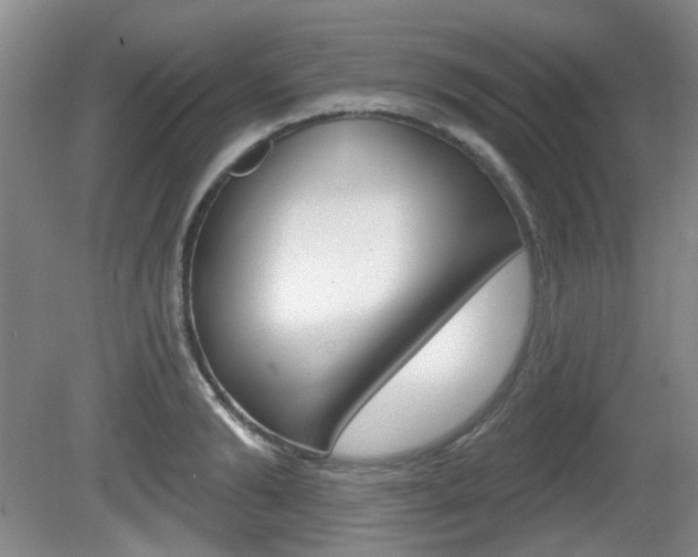 X0000081560894200701150956