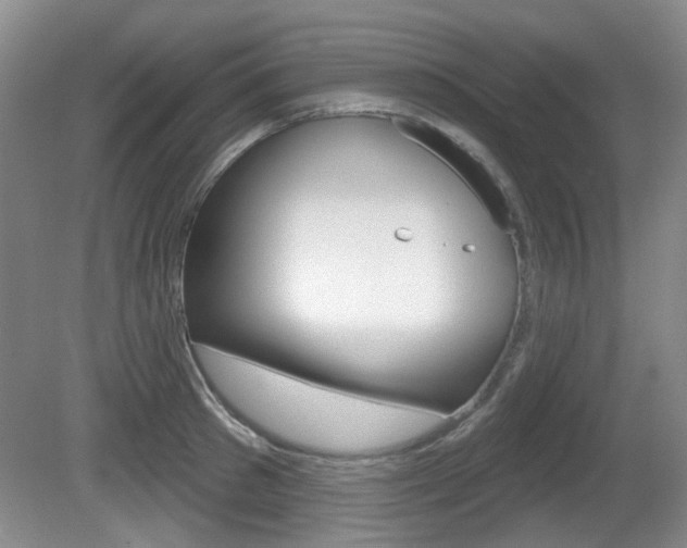 X0000081560897200701150956