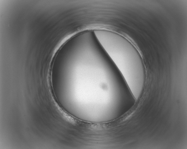 X0000081560901200701150956
