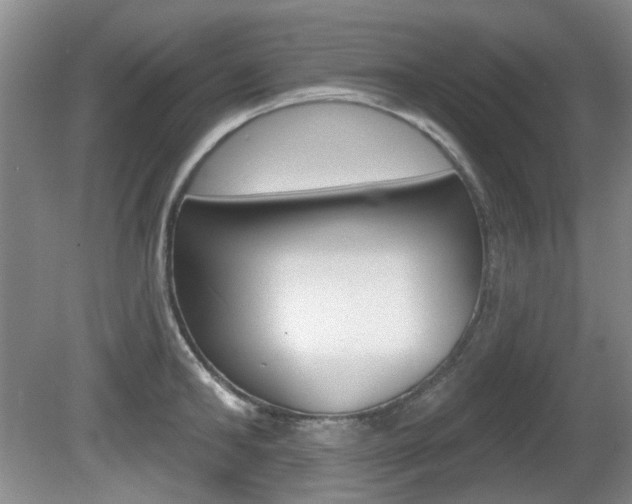 X0000081560902200701150956