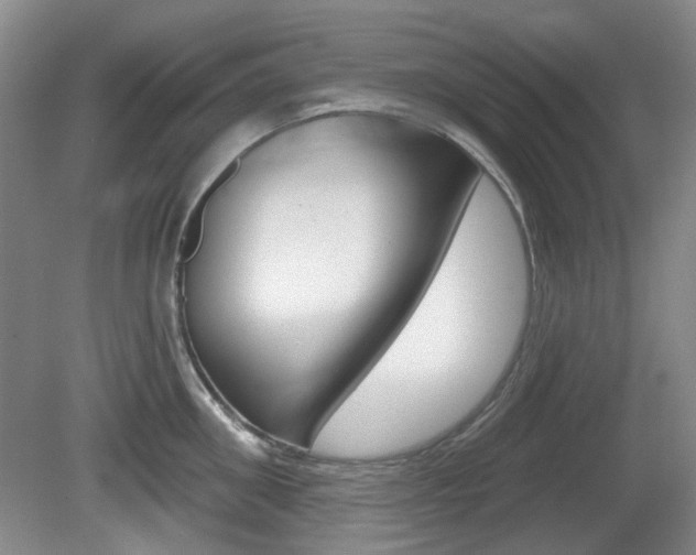 X0000081560906200701150956
