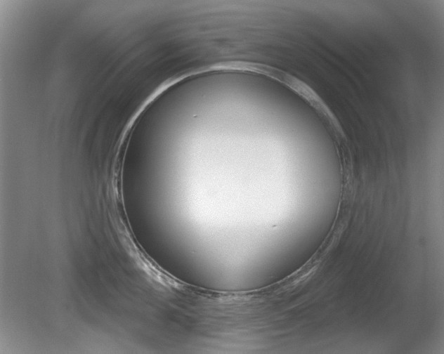 X0000081560908200701150956