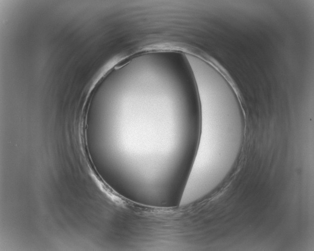 X0000081560909200701150956